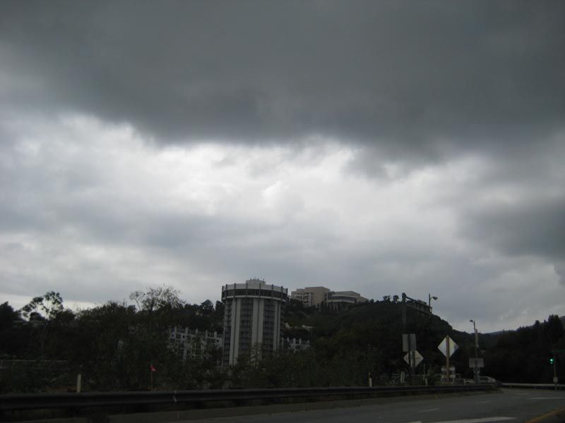 IMG_1603.jpg