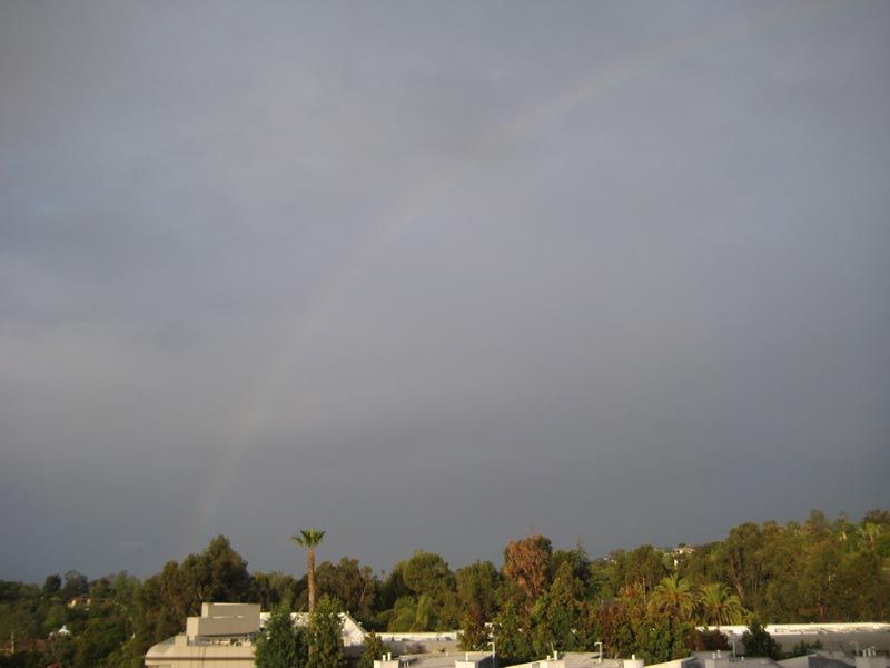 IMG_1617.jpg