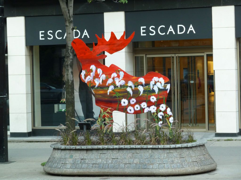 L1040156.jpg
