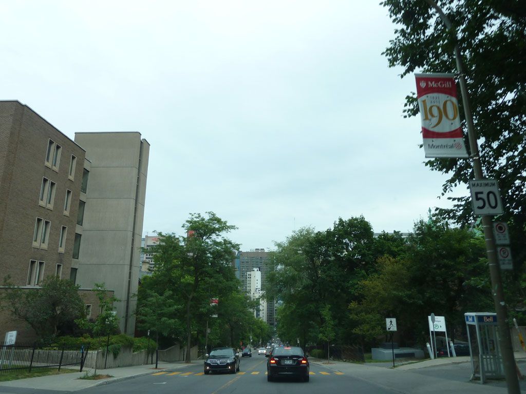 L1140044.jpg