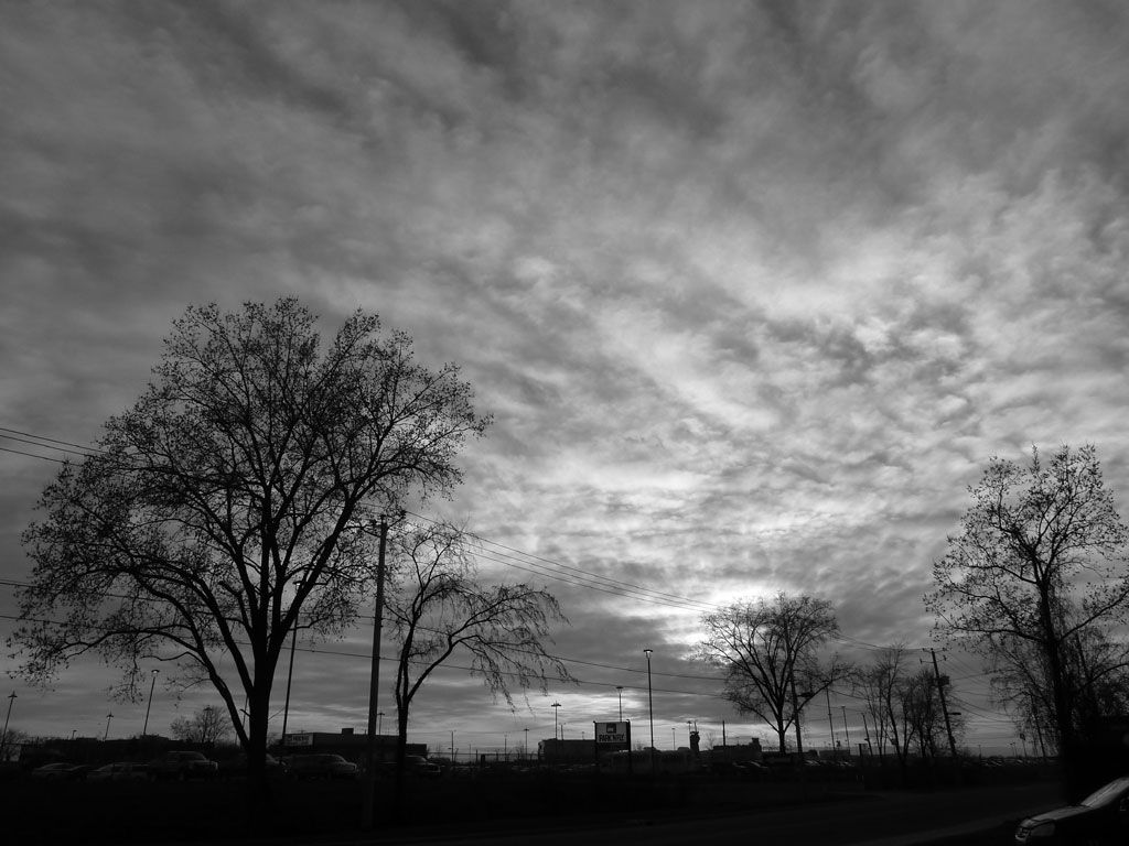 i28.photobucket.com/albums/c236/nad1/Portuguese%2011/L1040261.jpg