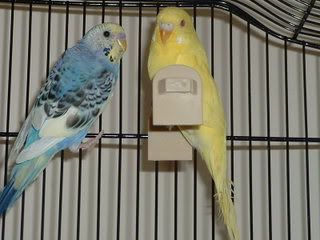 DSCF0049.jpg
