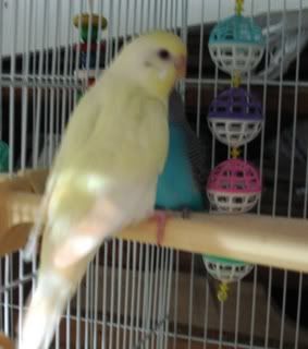Gwen-1.jpg