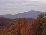 Viewfromdeck.jpg image by Rottys4Me