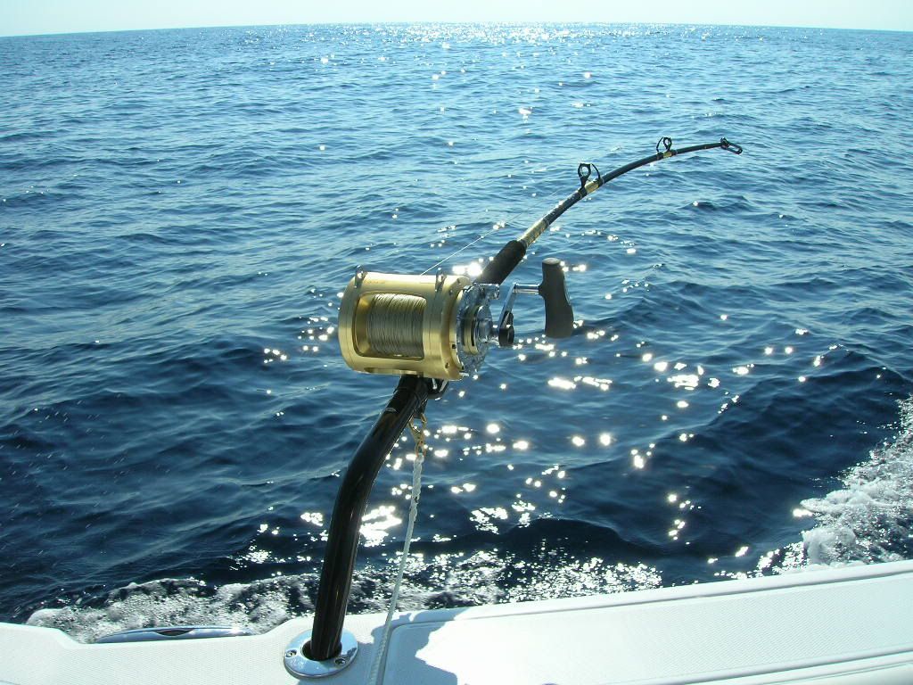 Planer Rod Tidal Fish Forum