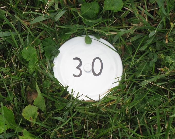 Back yard yardage markers Bowhunting Wisconsin Forum