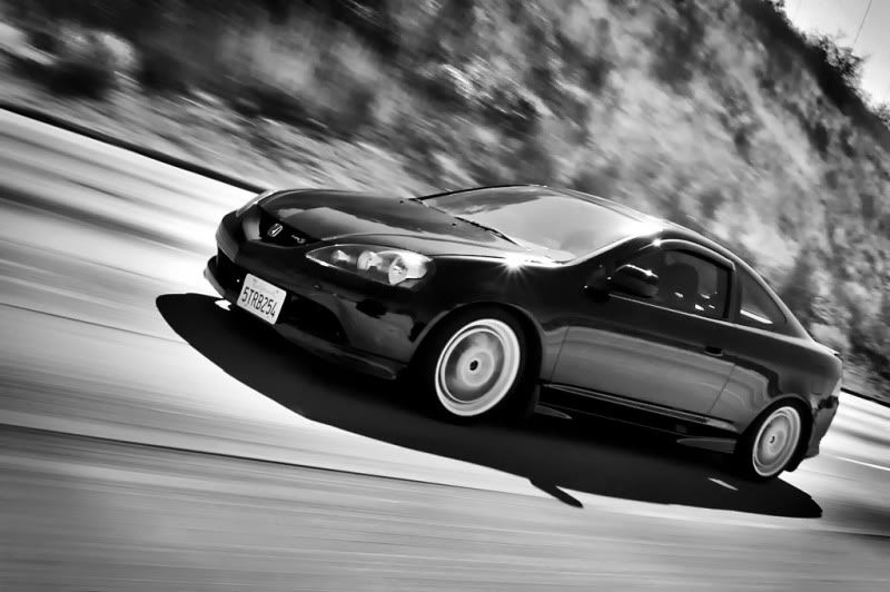 IMAGE: http://i28.photobucket.com/albums/c239/daisydeadpeddles/4045803442_95689a81f8_b1-1.jpg