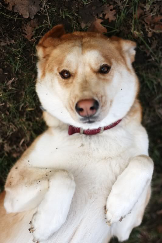 IMAGE: http://i28.photobucket.com/albums/c239/daisydeadpeddles/thirdchristmas028.jpg