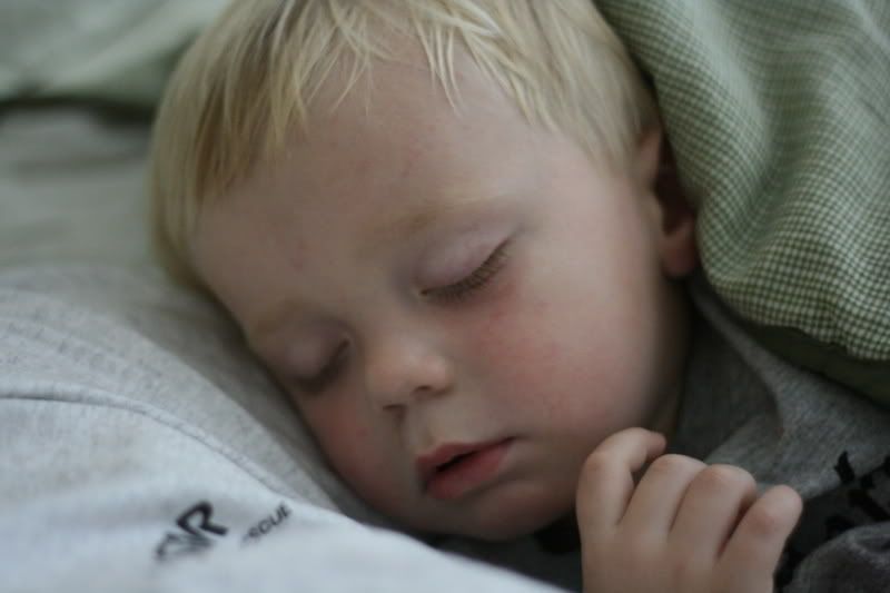 IMAGE: http://i28.photobucket.com/albums/c239/daisydeadpeddles/ukiahandsacagain012.jpg