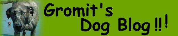 Gromit's Dog Blog!