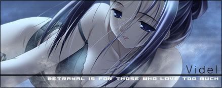 [Image: sigvidel2.jpg]