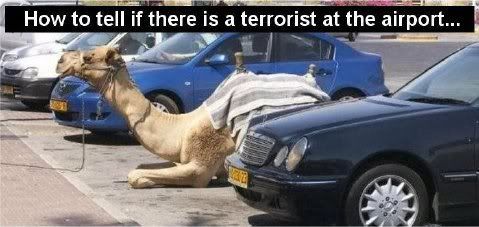 CamelTerrorist.jpg