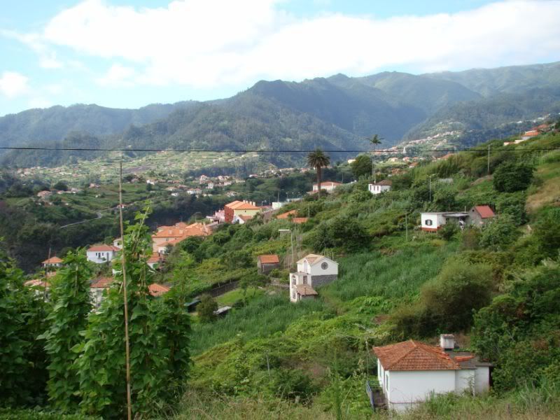 Recién llegados de Madeira: Experiencias - Forum Portugal