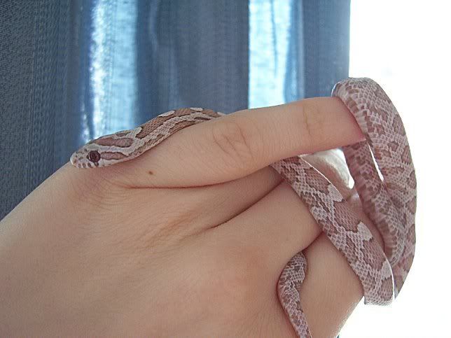 100_1358.jpg