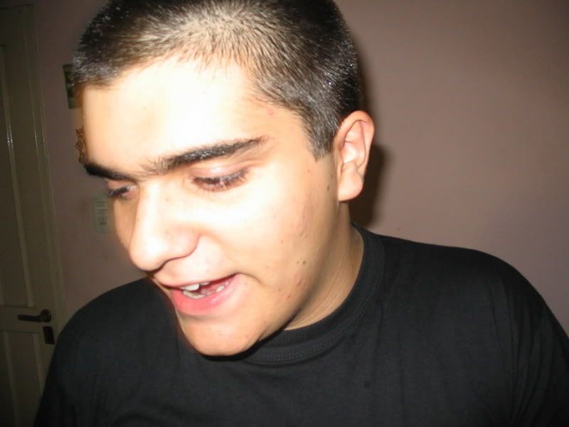 12006.jpg