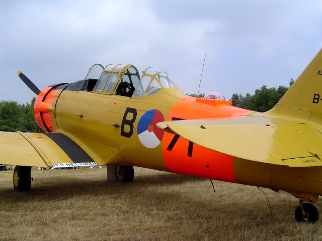 http://i28.photobucket.com/albums/c245/taylormonoplane/DSC03112.jpg