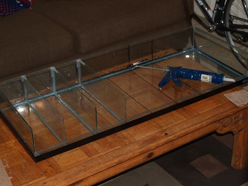 PA018787.jpg