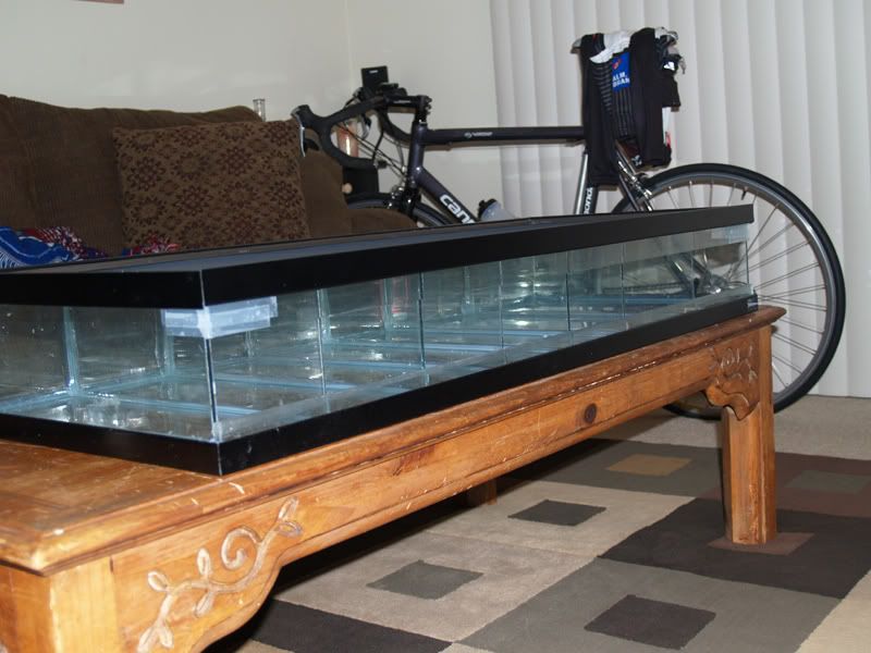 PA018789.jpg
