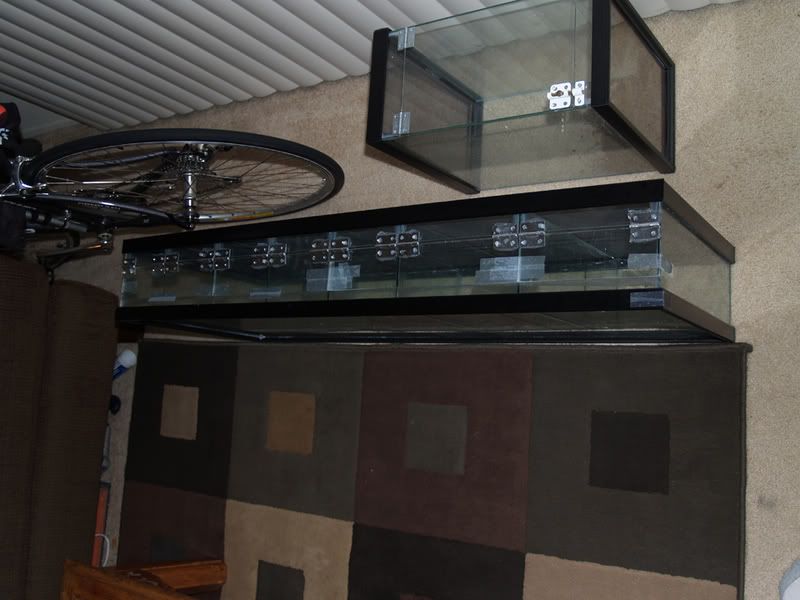 PA028801.jpg
