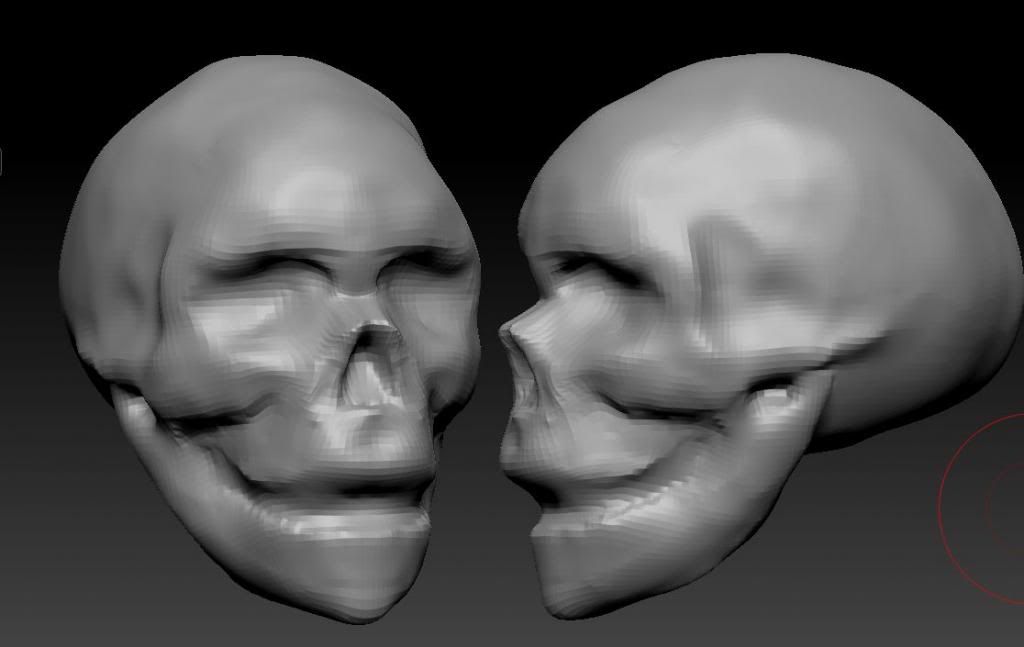 Skull01.jpg