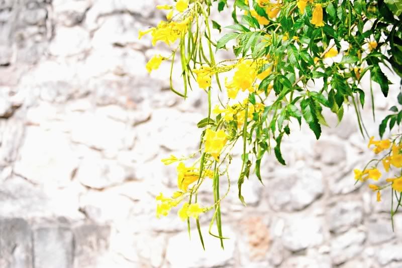 IMAGE: http://i28.photobucket.com/albums/c248/EricaWilliams/NW3.jpg