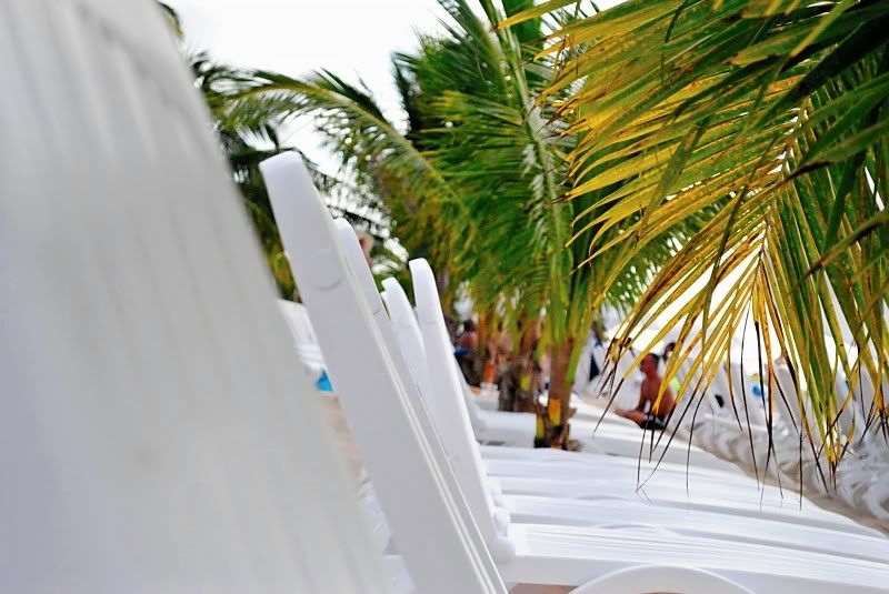 IMAGE: http://i28.photobucket.com/albums/c248/EricaWilliams/misc13.jpg