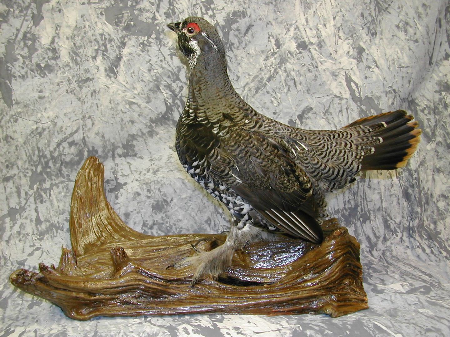 grouse mount New Jersey Hunters
