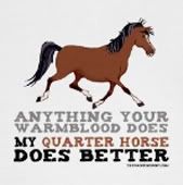 ThePaintingPony.com Quarter Horse t shirts