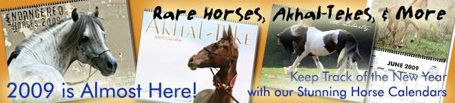 2009 Horse and Equestrian Calendars