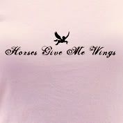 ThePaintingPony.com flying horse wings t shirts