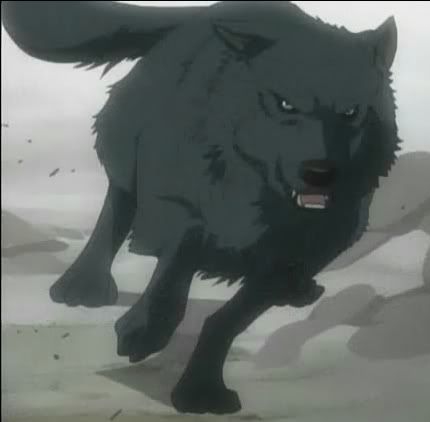 Wolf Avatar