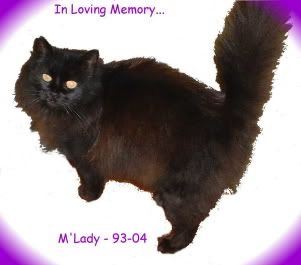 Is Your Black Cat Really Black Online Sweepstakes Com