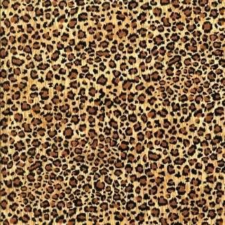 Leopard Background on Leopard Background Graphics Code   Leopard Background Comments