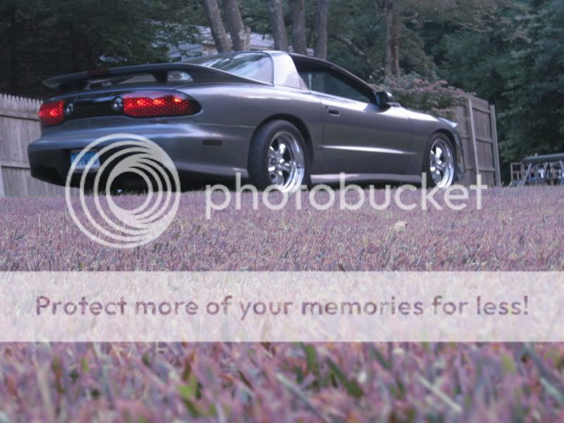 Lets See Those Ass Car Shots Don T Quote Pics Page 4 Ls1tech