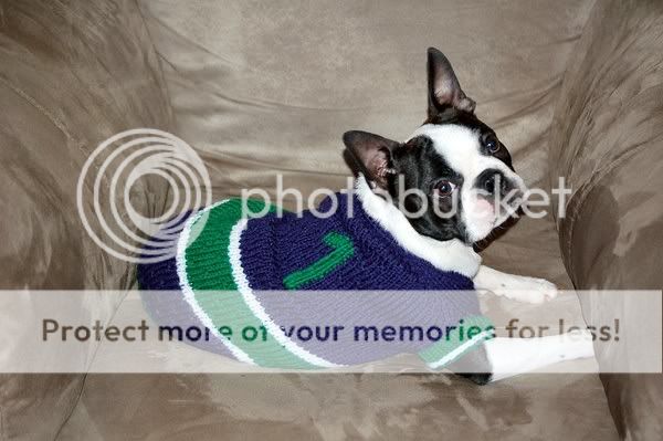 New Handknit Dog Sweater Jersey Vancouver Canucks Sz 14