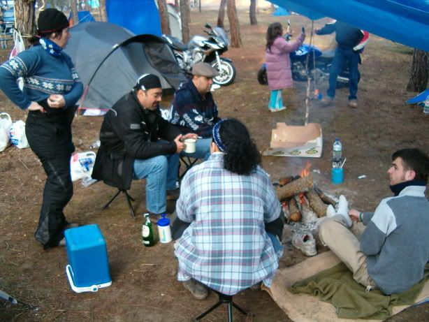 Pinginos2006002.jpg