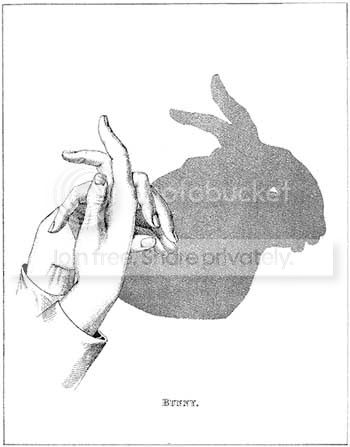 shadow1.jpg