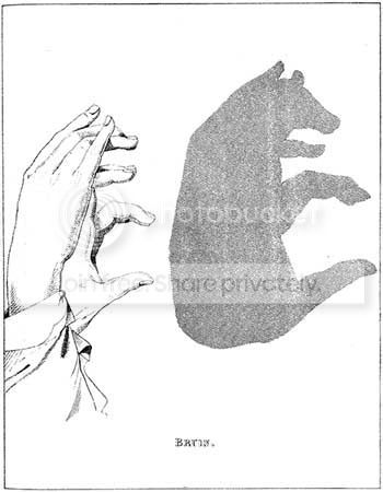 shadow12.jpg