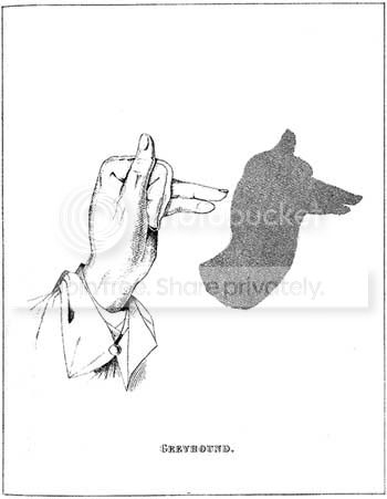shadow14.jpg