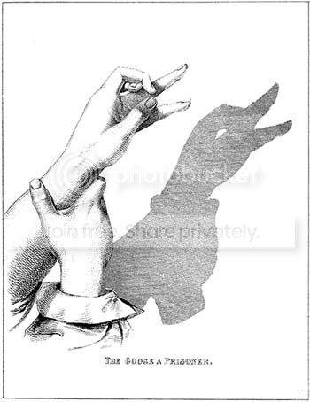 shadow5.jpg