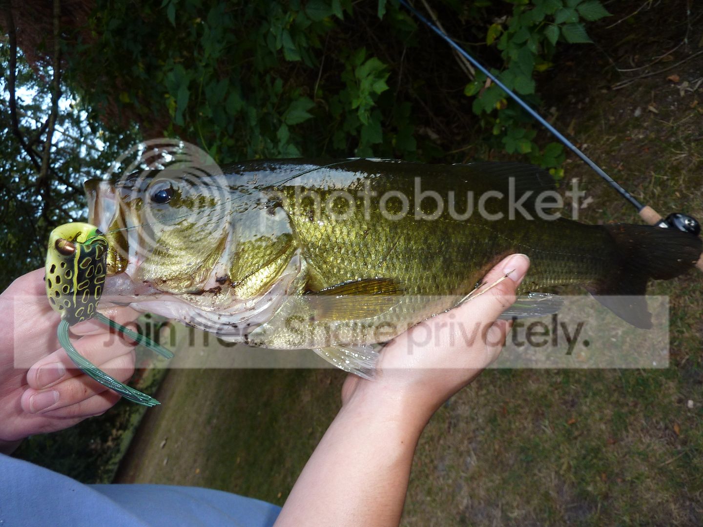 P1040129_zps7kvxmrm6.jpg