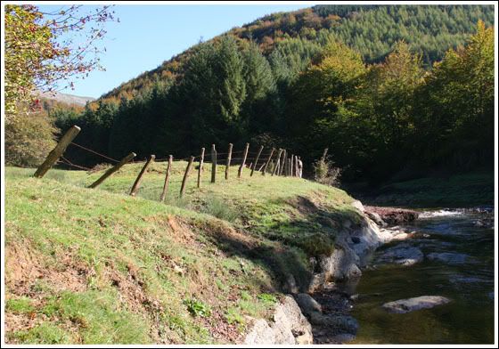 El 'prau'