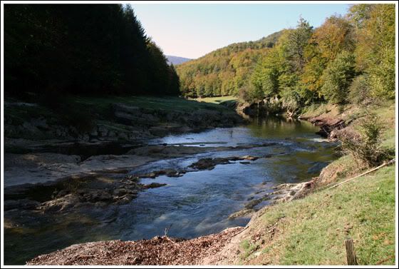 The river flows
