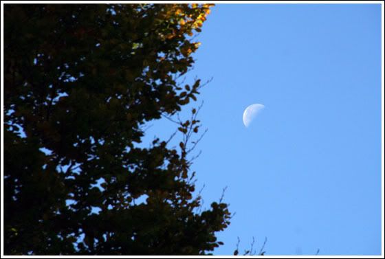 Fly me to the moon~~