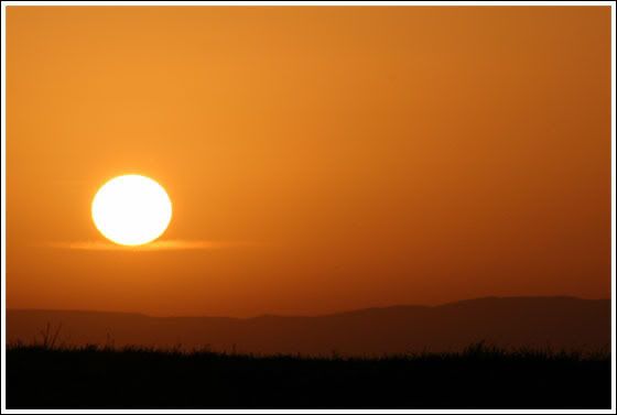 El sol servido en bandeja xDDDD