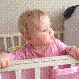 photo 01102500-295D-4D1D-96BB-D50A6B7A6ADF.gif