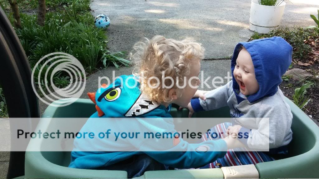 photo 20140401_151209.jpg