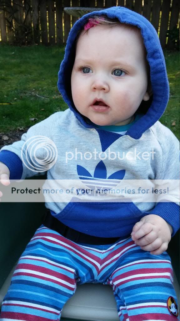 photo 20140401_151729.jpg