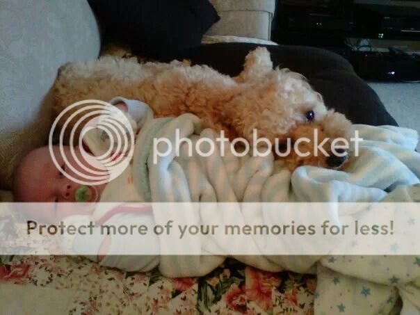photo IMG_35584529273620.jpeg