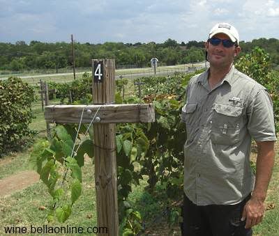 Professor Scheiner in the Munson Vineyard